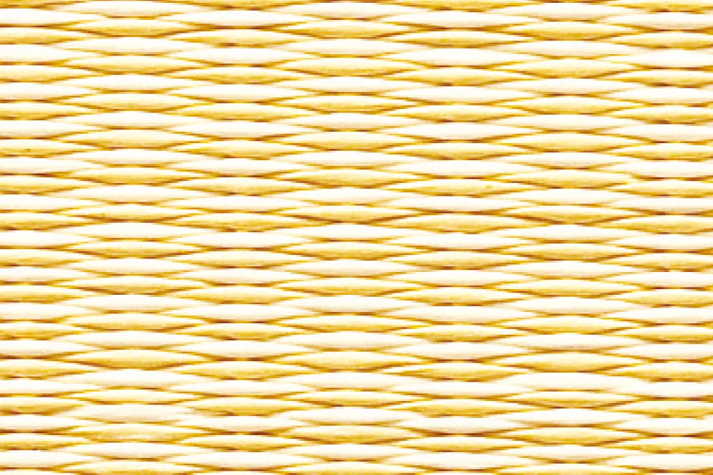 色柄バリエーション：清流カクテルフィット〈09 黄金色×乳白色〉
