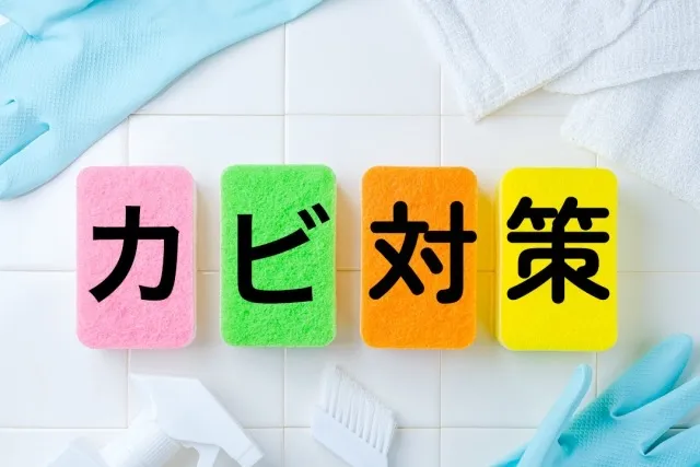 放置して大丈夫？住居のカビの原因と予防の4つのポイントを解説