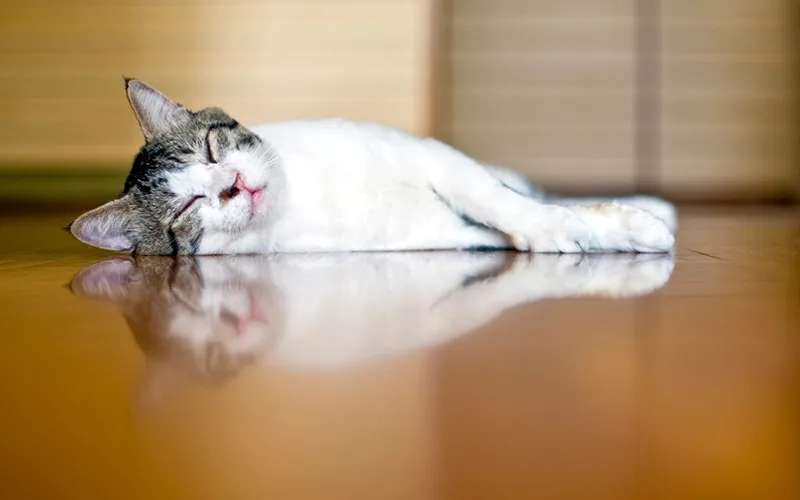 数ある暖房器具・どれを選ぼう?~ほかにない床暖房の良さとは~