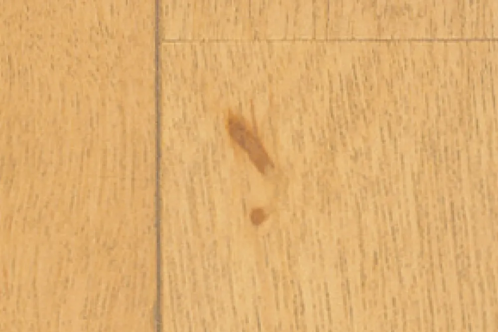 木質床材の表情