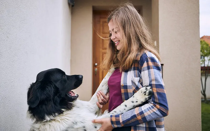 犬が吠えるのは、なぜ？