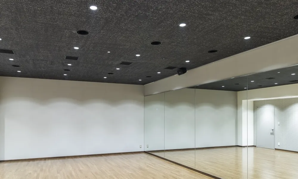 日本青年館 リハーサル室 : 天井材：ロックウール化粧吸音板 ダイロートン ギンガ4（現場塗装品）