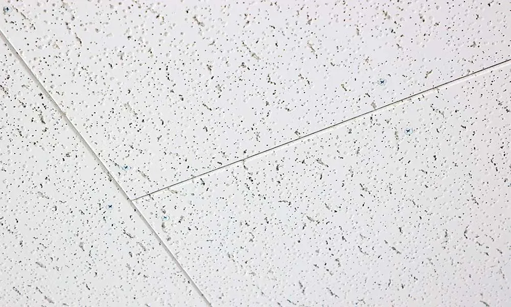 三共電気6.6ビル／設計会館 : 天井材：ダイロートン スクールトーン ワイド直貼り9mm