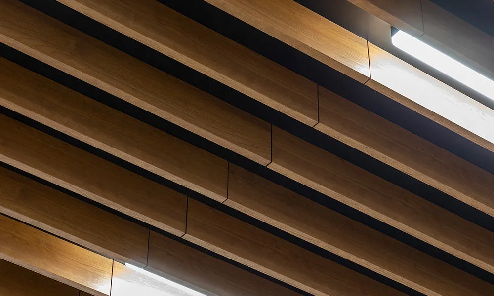 朝霞市立図書館 : 天井造作材：グラビオルーバーUB 直付式〈ティーブラウン〉
