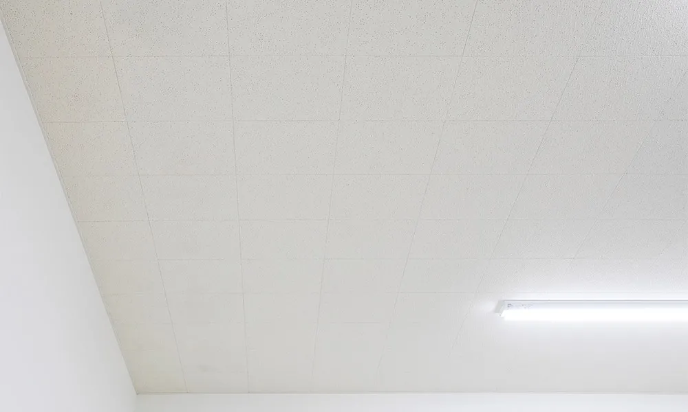 山陽小野田市立 山口東京理科大学 多目的文化施設 : 天井材：オトテン　専用ボーダー