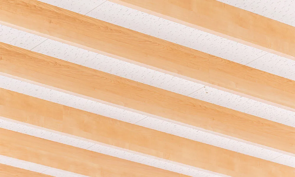 いとく男鹿ショッピングセンター : 天井造作材：グラビオルーバーUB 直付式〈ミルベージュ〉
