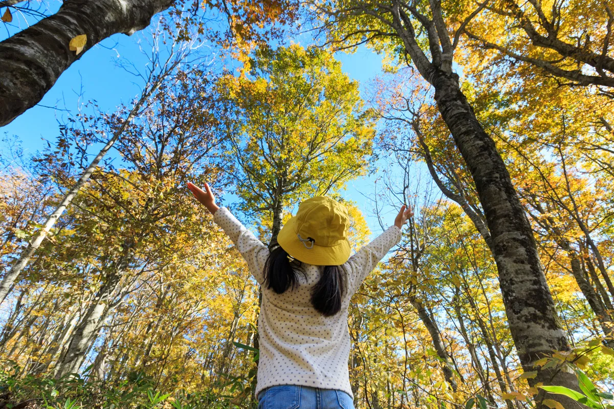 「木育」が地球環境を救う？　子どもが木のぬくもりを身近に感じられる学習環境