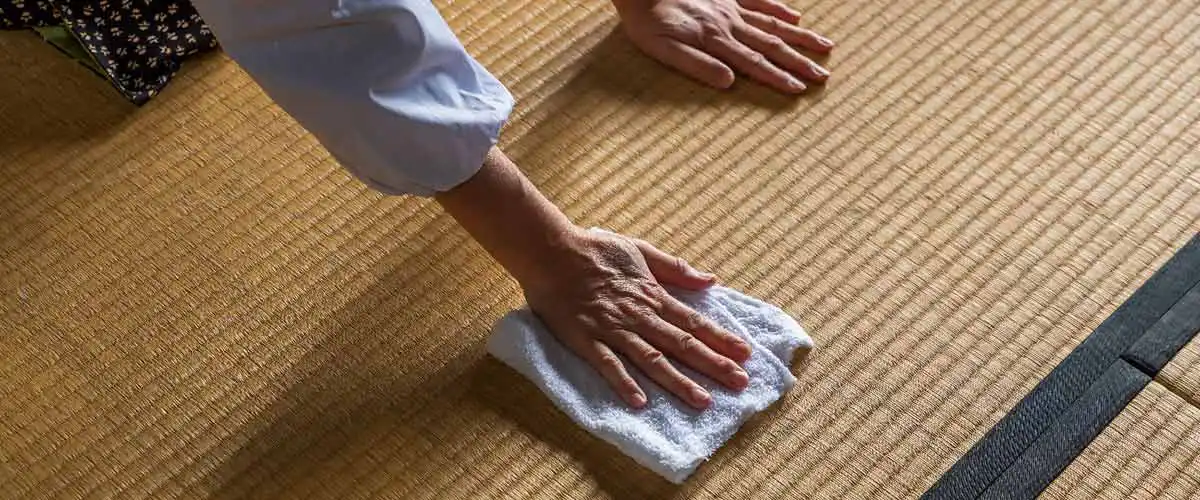畳のカビがひどい！原因と効果的なカビ取り方法、予防対策