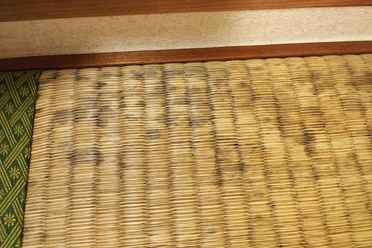 黒カビ(ひどいカビ)の掃除方法
