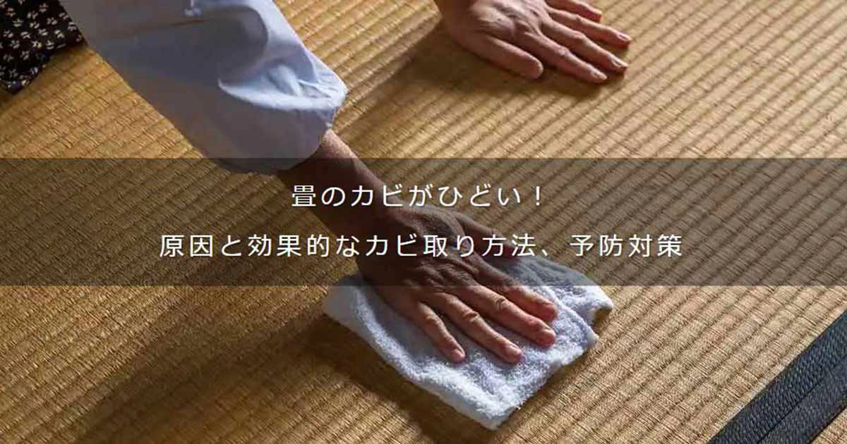 畳のカビがひどい！ 原因と効果的なカビ掃除の方法、予防対策｜DAIKEN