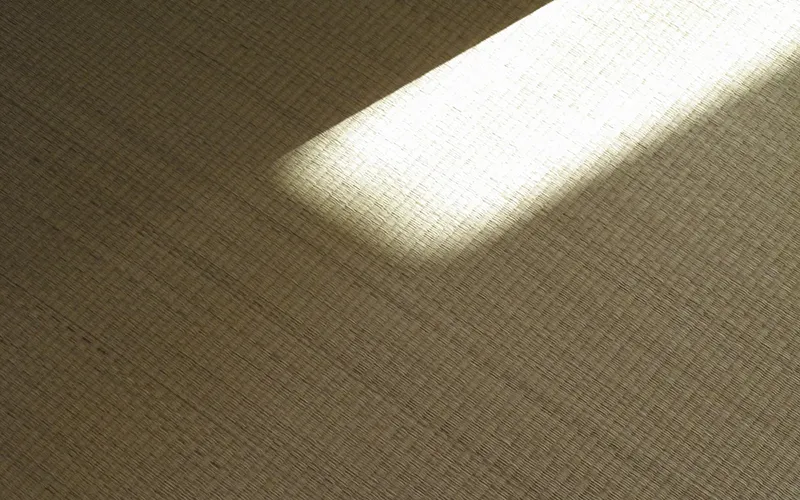 畳の日焼けによるデメリット