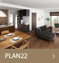 plan22