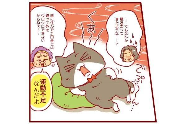 第62話 リビングに、猫のための遊び空間を！