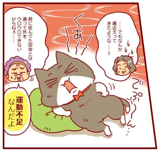 漫画第62話リビングに、猫のための遊び空間を！-2