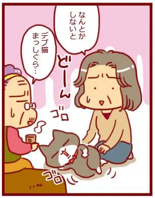 漫画第62話リビングに、猫のための遊び空間を！-3