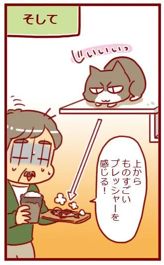 漫画第62話リビングに、猫のための遊び空間を！-16