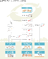 エコテクノの木くずリサイクルの工程図