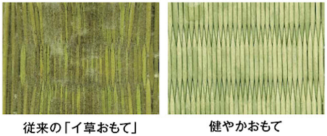 カビの発生やダニの増殖を抑え、汚れに強い