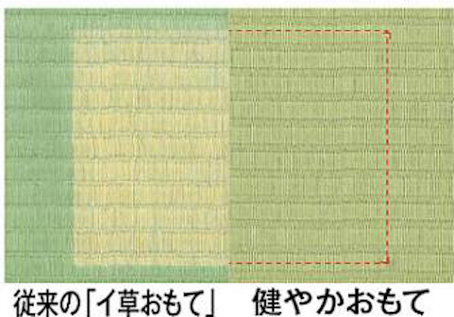 紫外線による変色が起こりにくい