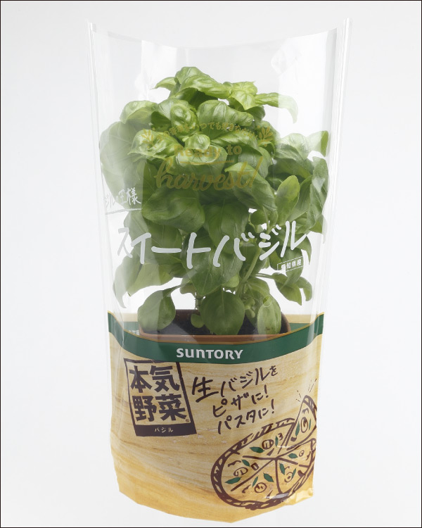 サントリーフラワーズ（株）の野菜苗商品『本気野菜 Ready To Harvest』