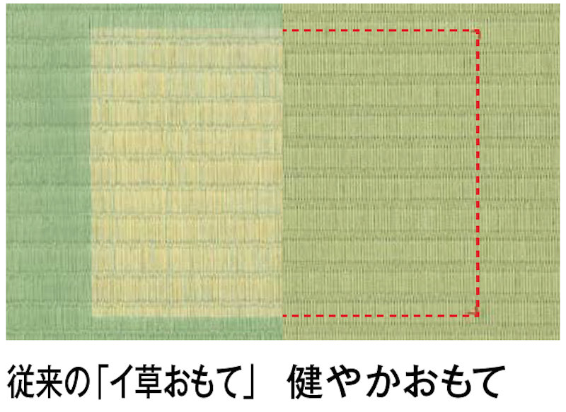 変色比較