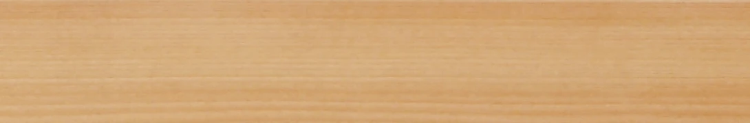 〈杉〉