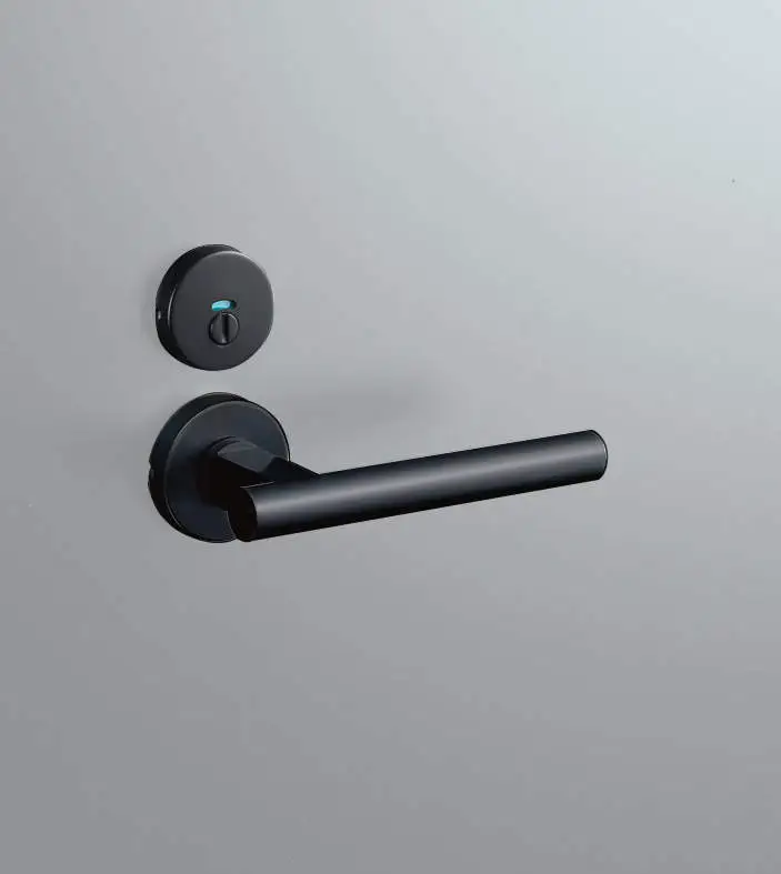 〈ブラック色〉