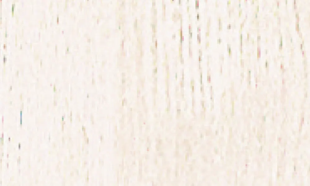 WH〈ネオホワイト〉