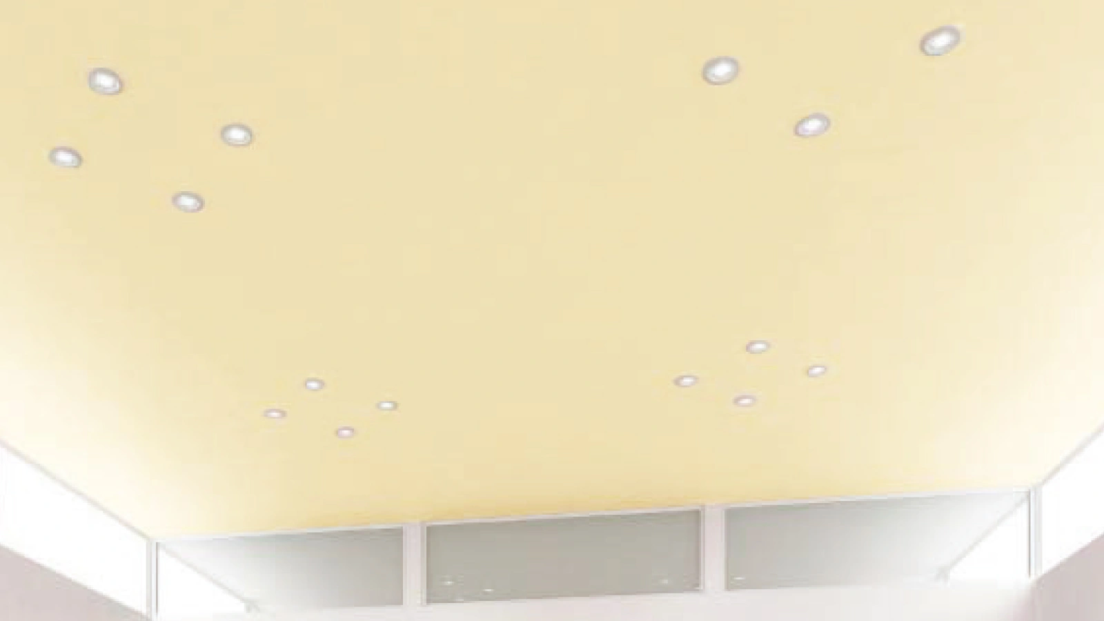天井材：ダイロートン カラー 〈DC05〉