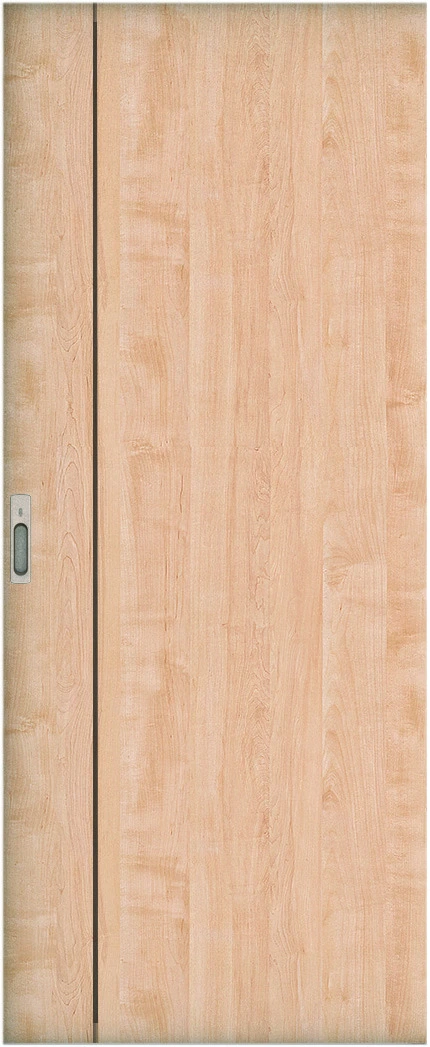 リビングドア　ハピア　引戸・片引　扉　Ｂ１デザイン　８６９幅　２０００高　〈ミルベージュ〉　左右兼用　錠付　ラクラクローズ付