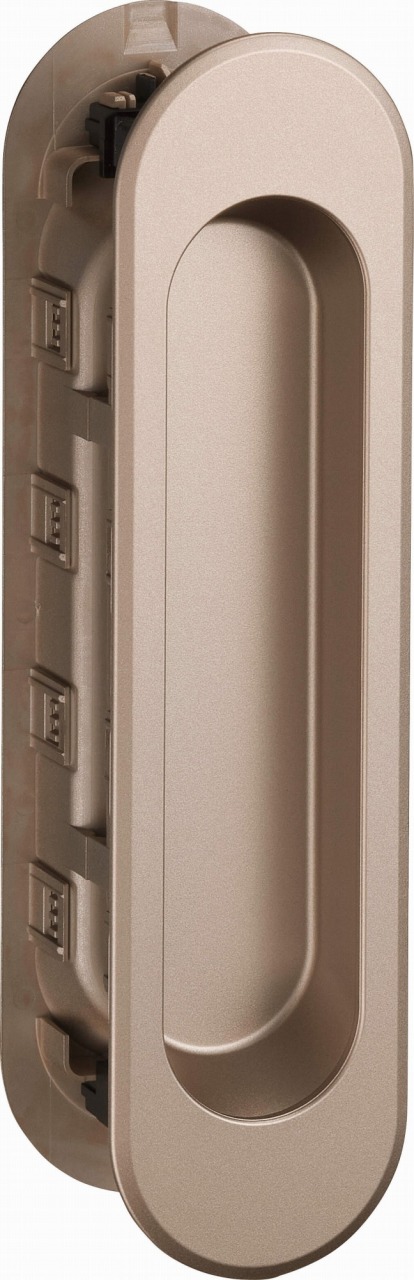 fileDownload?volumeName=00001&