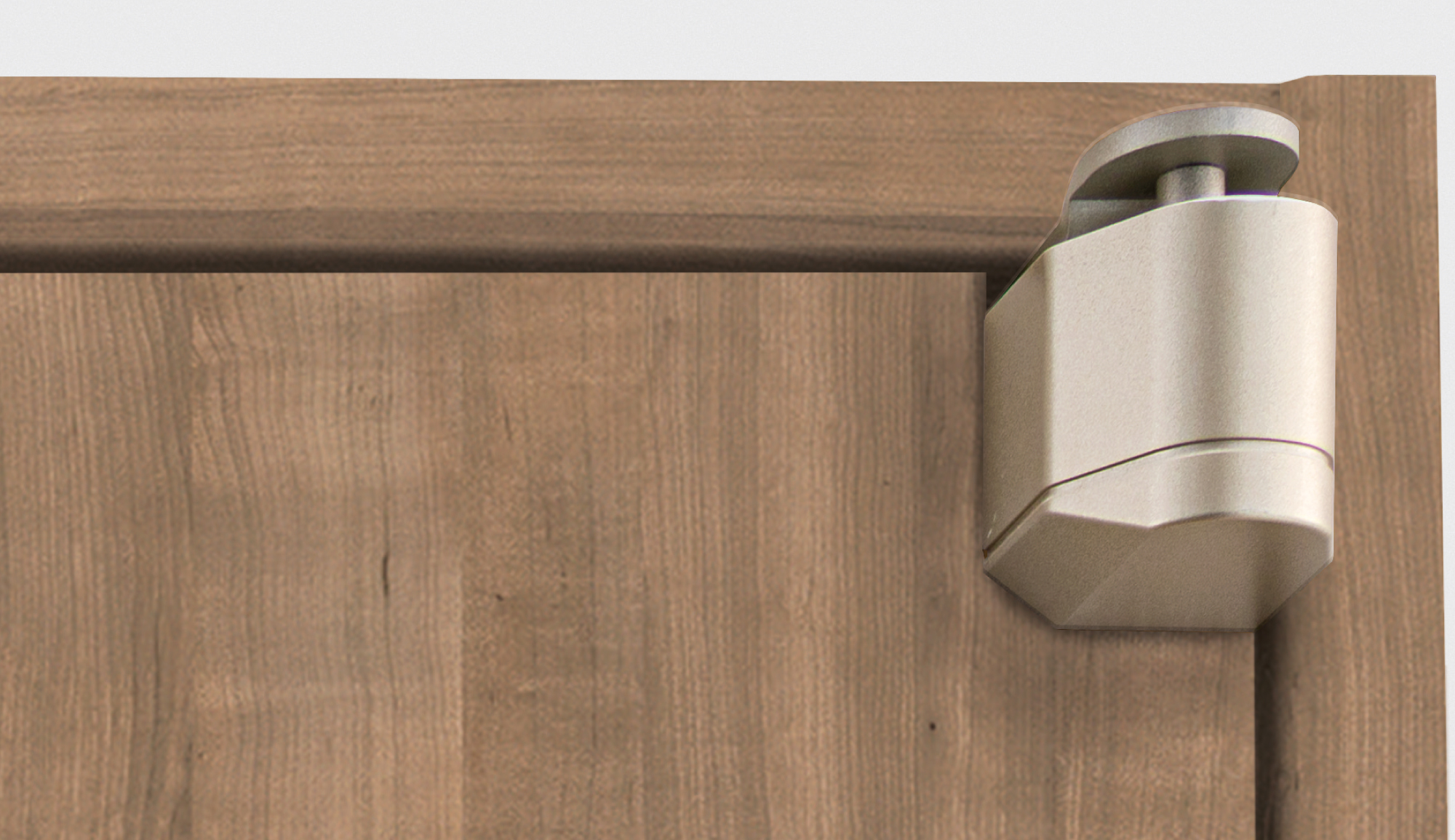 室内ドア - リビングドア オプション 開き戸 - ピボット丁番 - 施工