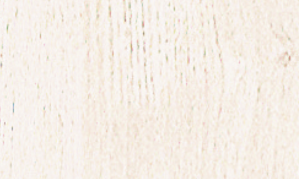 WH〈ネオホワイト柄〉