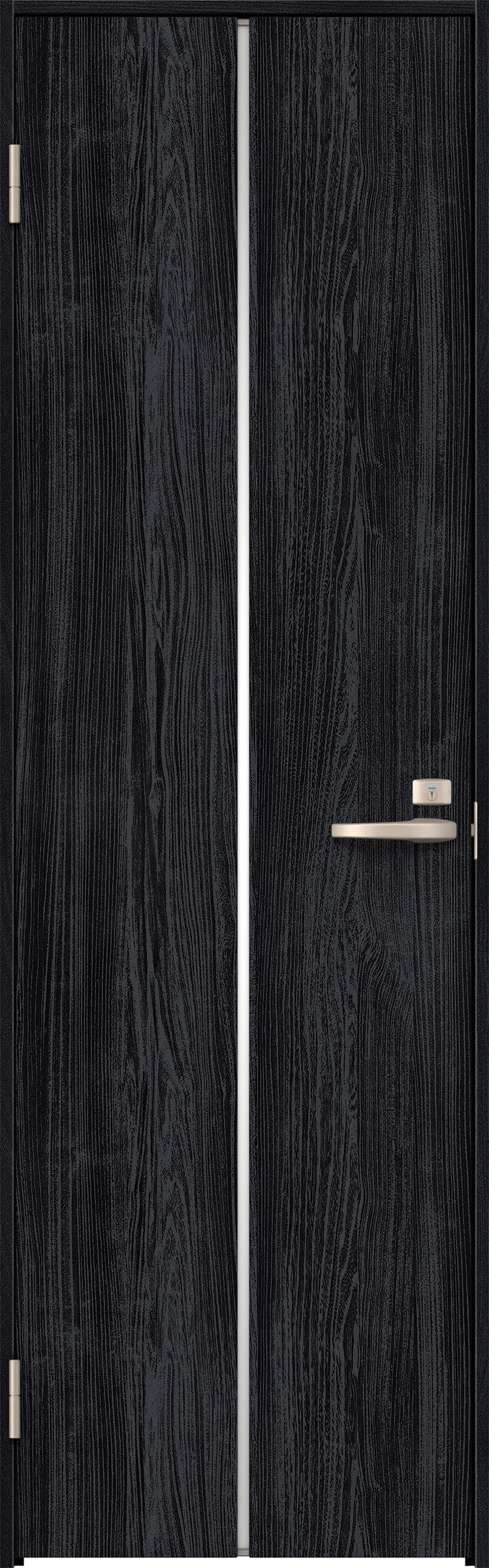リビングドア　イエリア　トイレドア　扉セット　６Ｐデザイン　８２５幅　２０００高　〈モスブラック柄〉　左開き　錠付　表示錠　Ｎスタンダード丁番