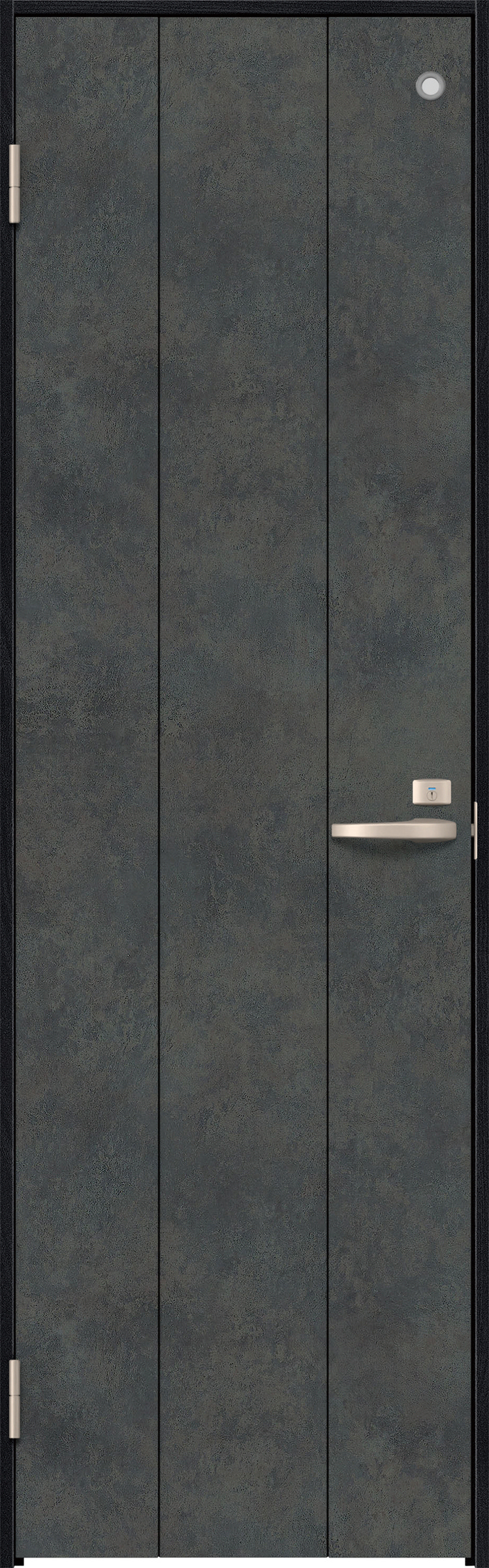 リビングドア　イエリア　トイレドア　扉セット　１Ｐデザイン　８５０幅　２０００高　〈アイアンブラック柄〉　左開き　錠付　表示錠　Ｎスタンダード丁番