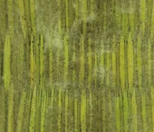 耐久性の目安：従来の「イ草おもて」