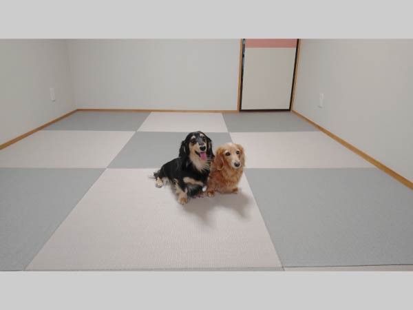 清流シリーズ 11 銀鼠色（ぎんねずいろ）と14 灰桜色（はいざくらいろ）