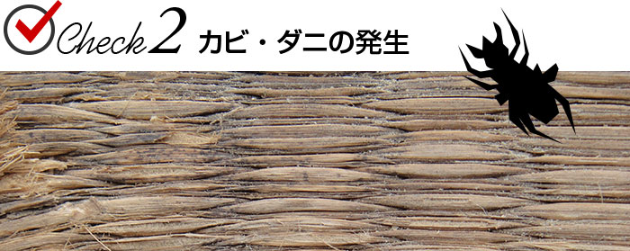 Check.2 カビ・ダニの発生